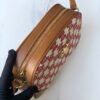 一目惚れ♪☆セリーヌ ショルダーバッグ コピー カメラバッグ トリオンフの刺繍 194332CS81