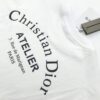 ★日本!!人気！ディオール Tシャツ コピー CD 刺繍 コラボ ライオン オーバーサイズ dex24232